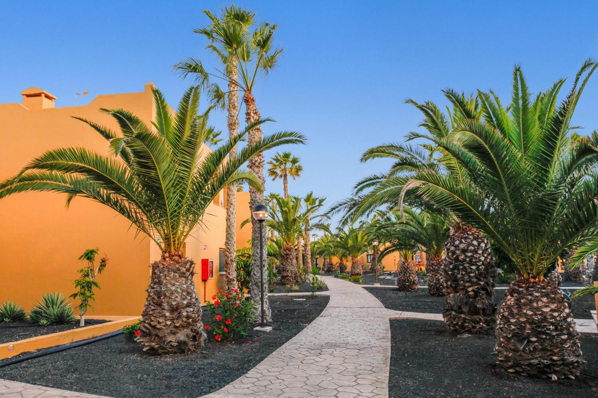 Apartamento Papagayo Corralejo Exterior foto